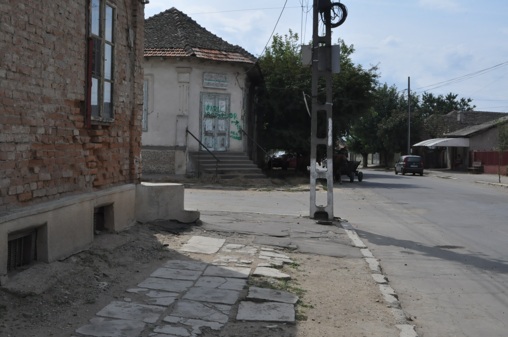 bailesti bar