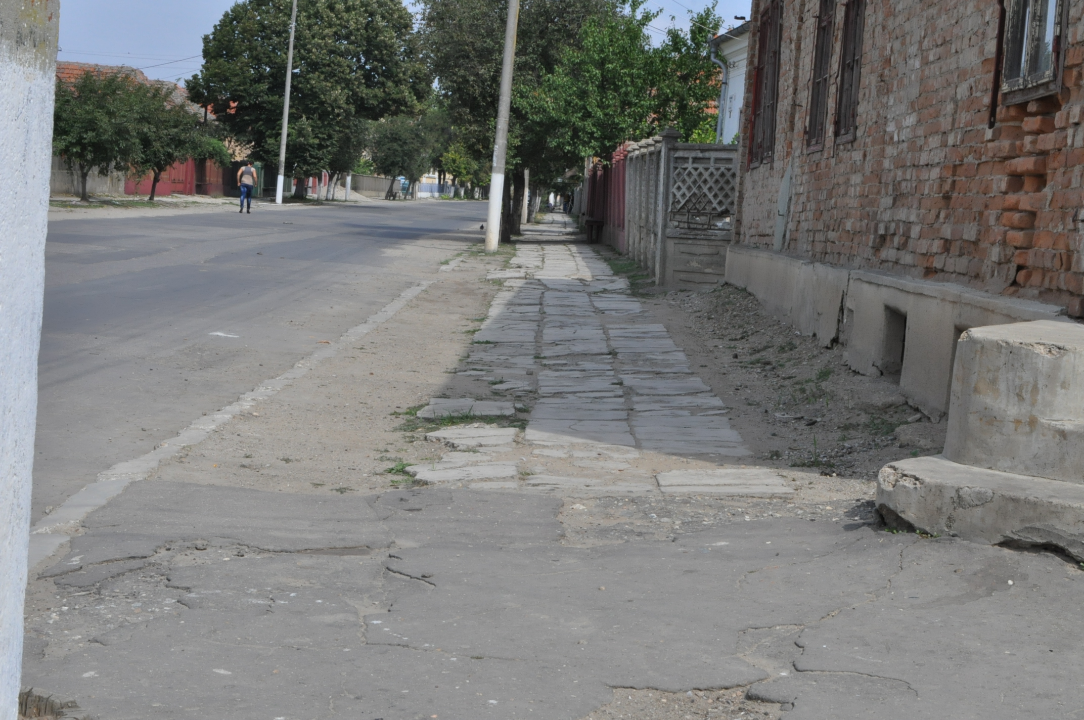 bailesti strada