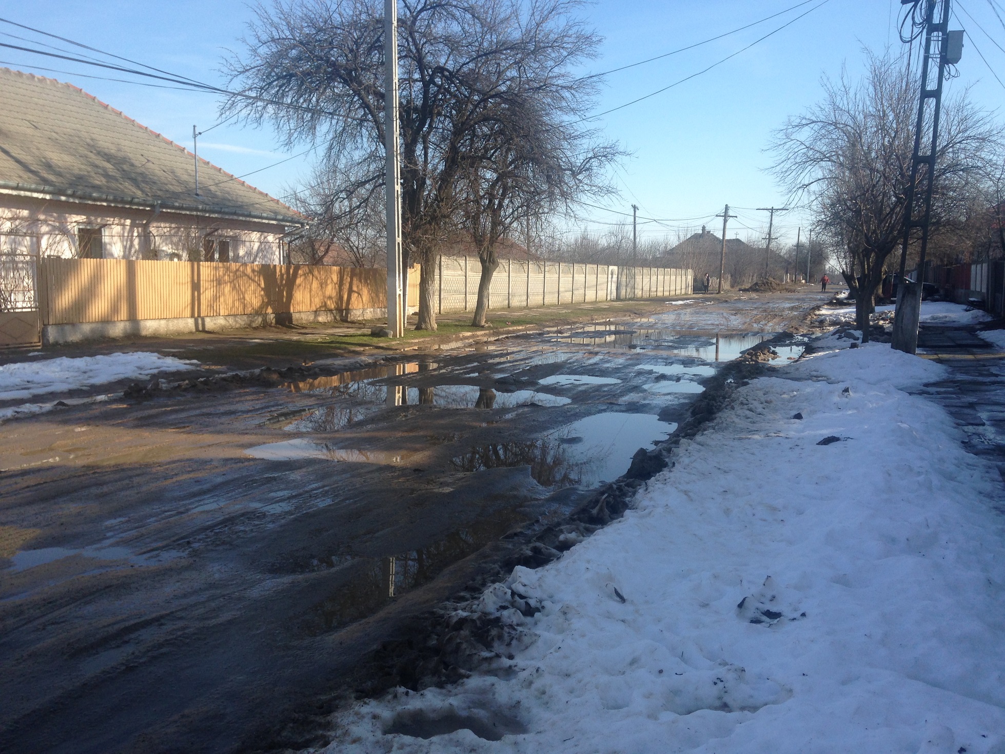 strada Mihai Viteazul Bailesti